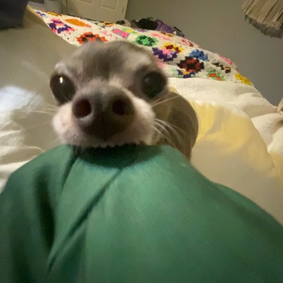 Meet your Posher, Brooklyn - Picture 4 of 4